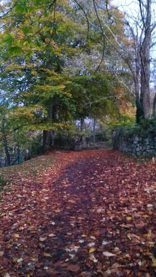 Mill Lane Leilighet Buncrana Eksteriør bilde